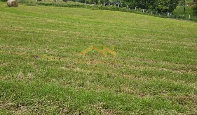 Plac | 4zida