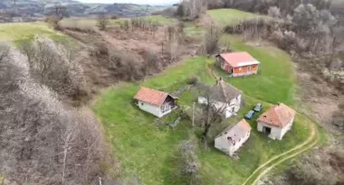 Brajići