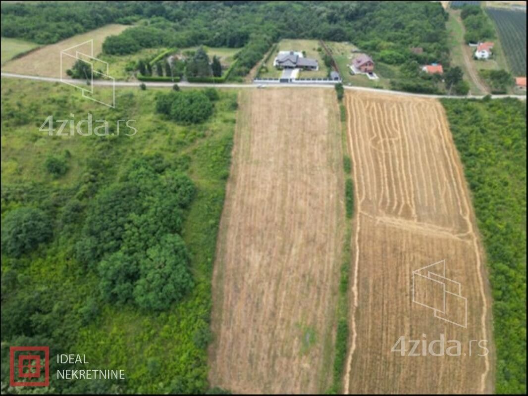 Trešnja - Prikaz 4