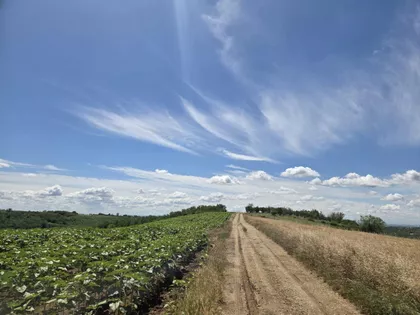 Okolne lokacije | 4zida.rs