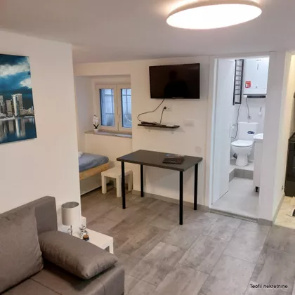 Nemanjina | 4zida.rs