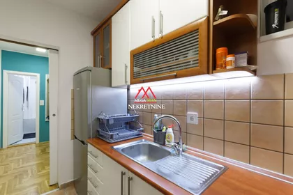 Danila Kiša | 4zida.rs