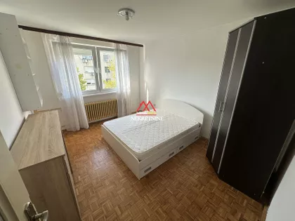 Rumenačka | 4zida.rs