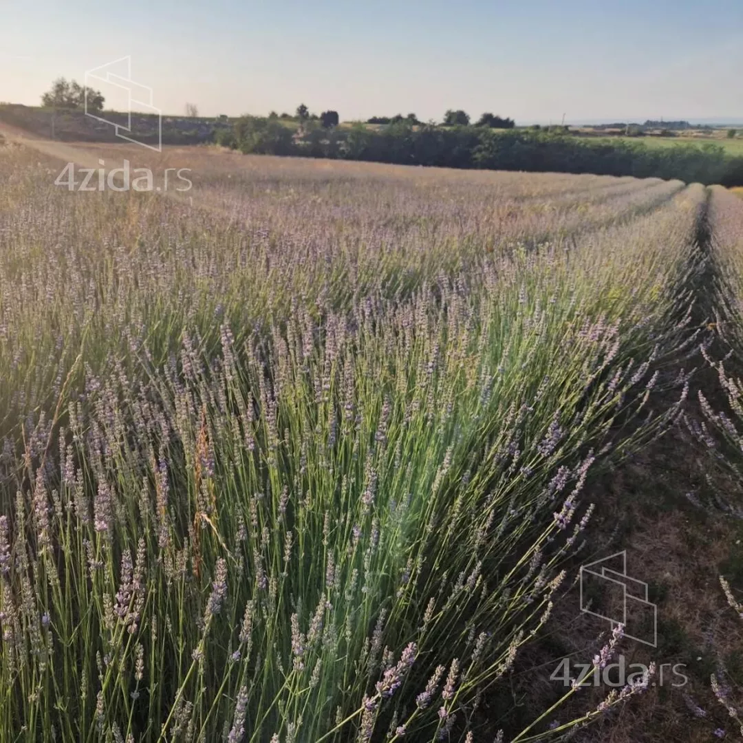 Poljoprivredno zemljište | 4zida