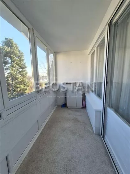 Dr Ivana Ribara | 4zida.rs