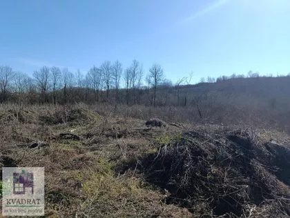 Mala Moštanica | 4zida.rs