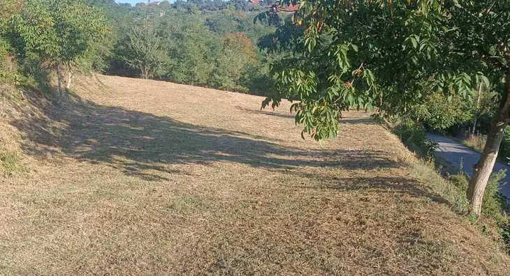 Poljoprivredno zemljište | 4zida