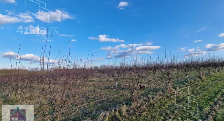 Poljoprivredno zemljište | 4zida