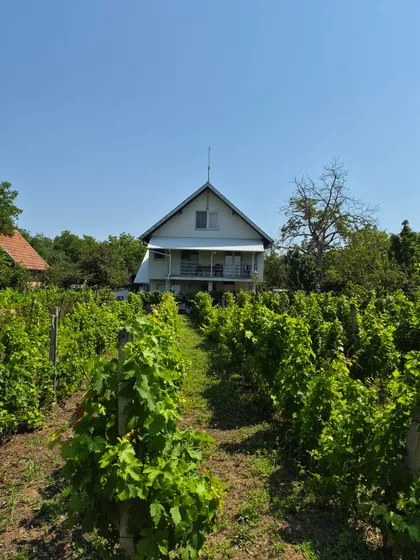 Kralja Petra I | 4zida.rs