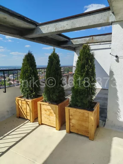 Učitelja Miloša Jankovića | 4zida.rs