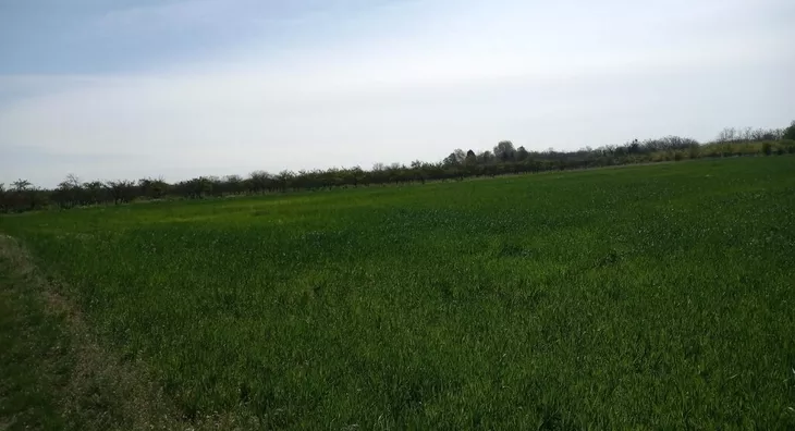 Poljoprivredno zemljište | 4zida