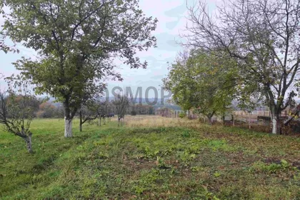 Živka Stevanovića Žikice | 4zida.rs