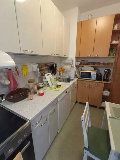 Milorada Šapčanina | 4zida.rs