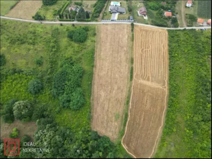 Trešnja | 4zida.rs