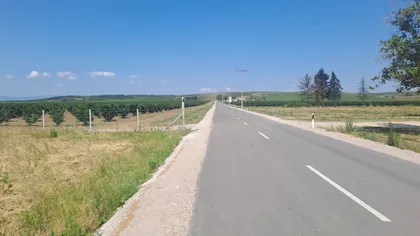 Jovice Mihajlovića | 4zida.rs