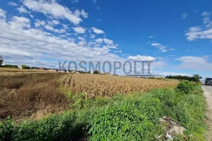 Kralja Petra I Karađorđevića | 4zida.rs