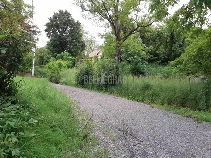 Miška Erčevića | 4zida.rs