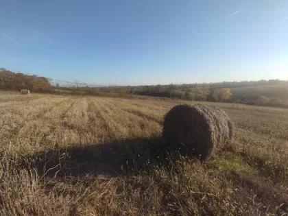 Blagojevica | 4zida.rs