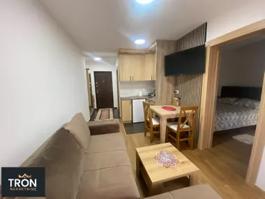 Nemanjina 15V