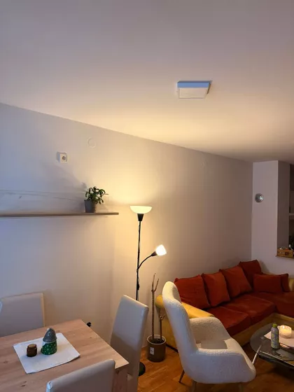 Nova Detelinara | 4zida.rs