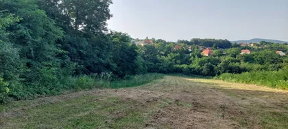 Drenovačka | 4zida.rs
