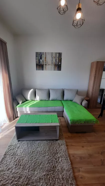 Vase Ostojića | 4zida.rs