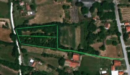 Cvetni Gaj | 4zida.rs