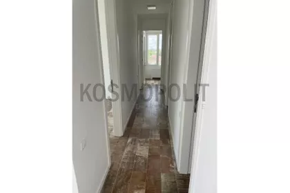 Brđanska | 4zida.rs