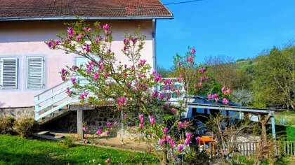 Mala Kamenica 2 | 4zida.rs