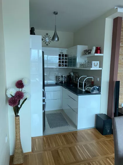 Vase Stajića 2 | 4zida.rs