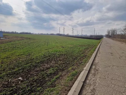 Zeleno Polje | 4zida.rs