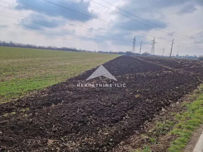 Zeleno Polje | 4zida.rs