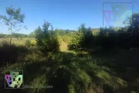 Poljoprivredno zemljište | 4zida