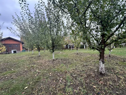 Novoseljanski put | 4zida.rs