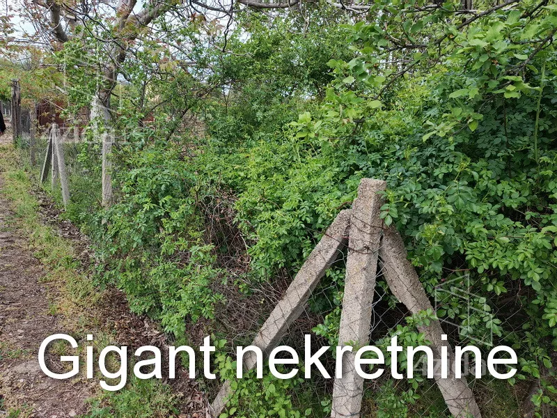 Plac | 4zida