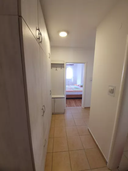 Dr Svetislava Kasapinovića | 4zida.rs