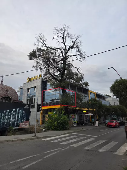 Kneza Miloša 13 | 4zida.rs