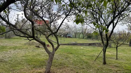 Drača 4 | 4zida.rs