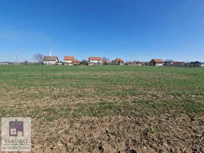 Zvečka | 4zida.rs