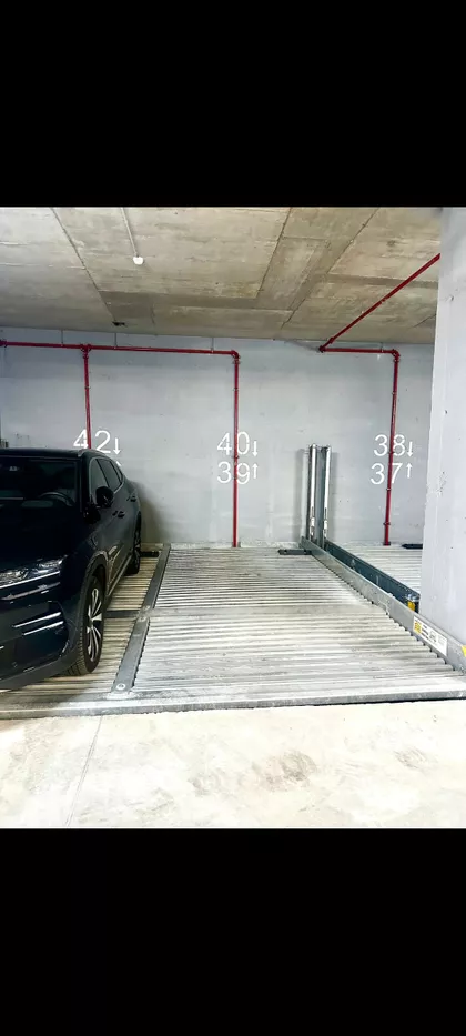 Tome Maksimovića | 4zida.rs