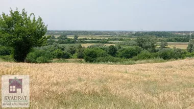 Mislođin