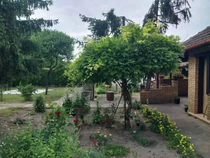 Kelebija | 4zida.rs