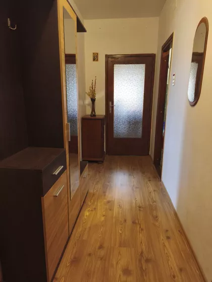 Sterijina 19 | 4zida.rs