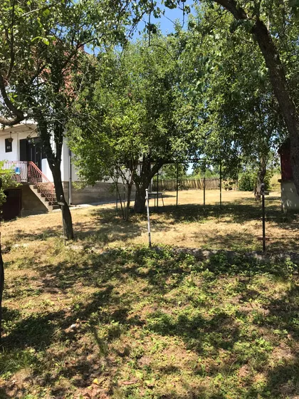 Žikice Jovanovića Španca 6B | 4zida.rs