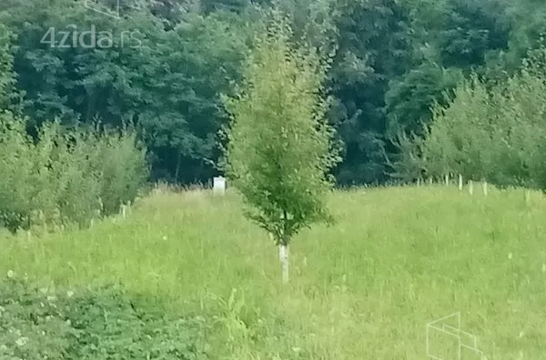 Plac | 4zida