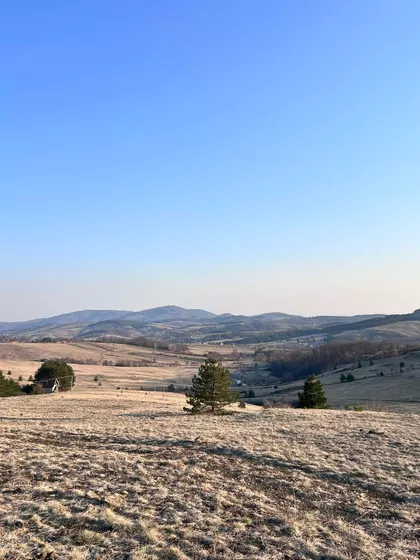 Tometino Polje | 4zida.rs
