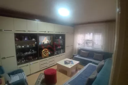 Dr.Dimitrija Jovčića | 4zida.rs