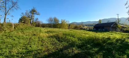 Tubravić | 4zida.rs