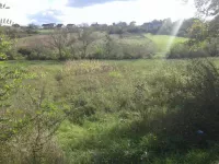 Male Pčelice, Gradske lokacije, Kragujevac | 4zida.rs