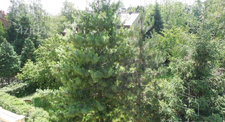 Šestosoban stan | 4zida